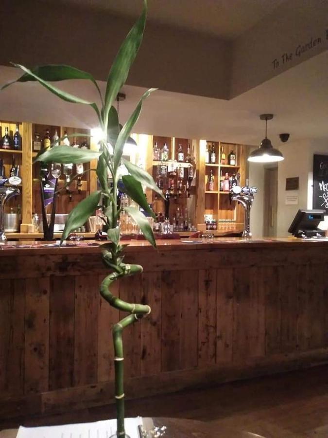 ホテル The Stag Northwood  エクステリア 写真